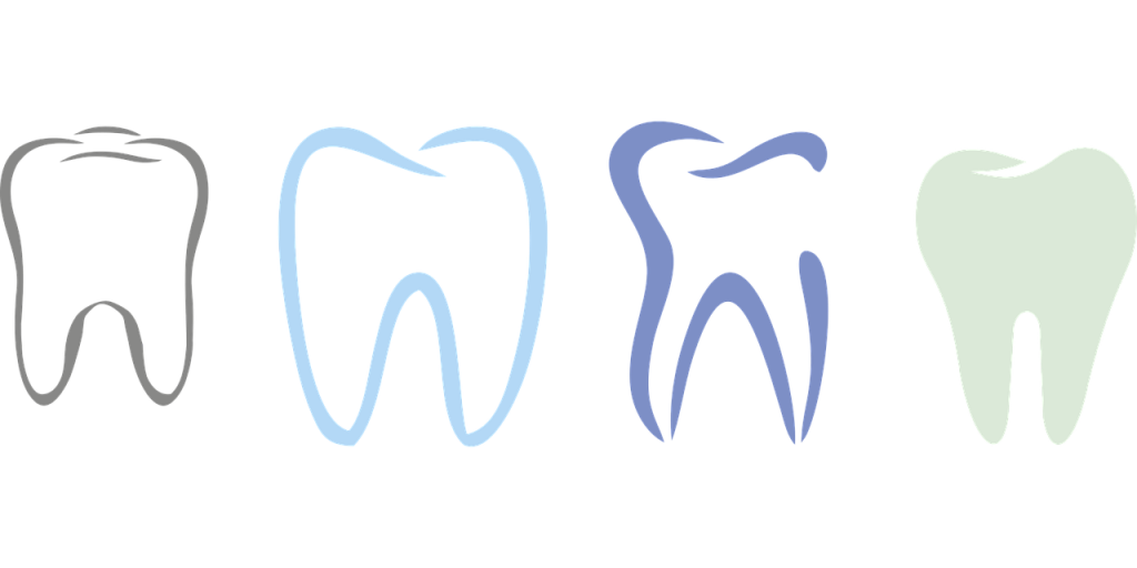 teeth